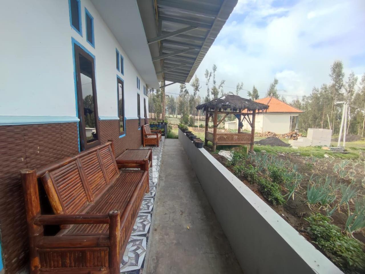 Elen Homestay By Abm Bromo Exterior foto